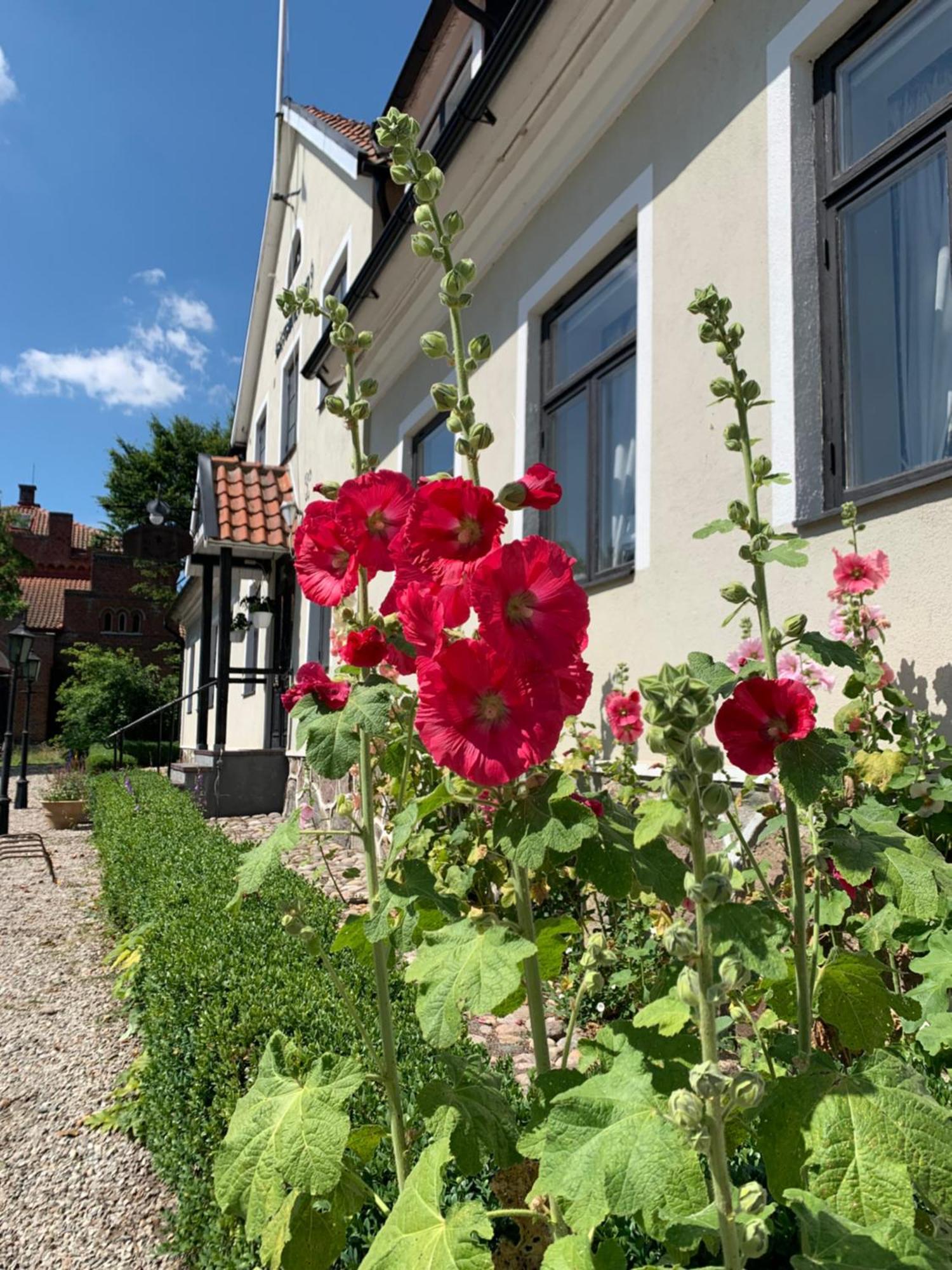 Hammenhögs gästgivaregård Exteriör bild