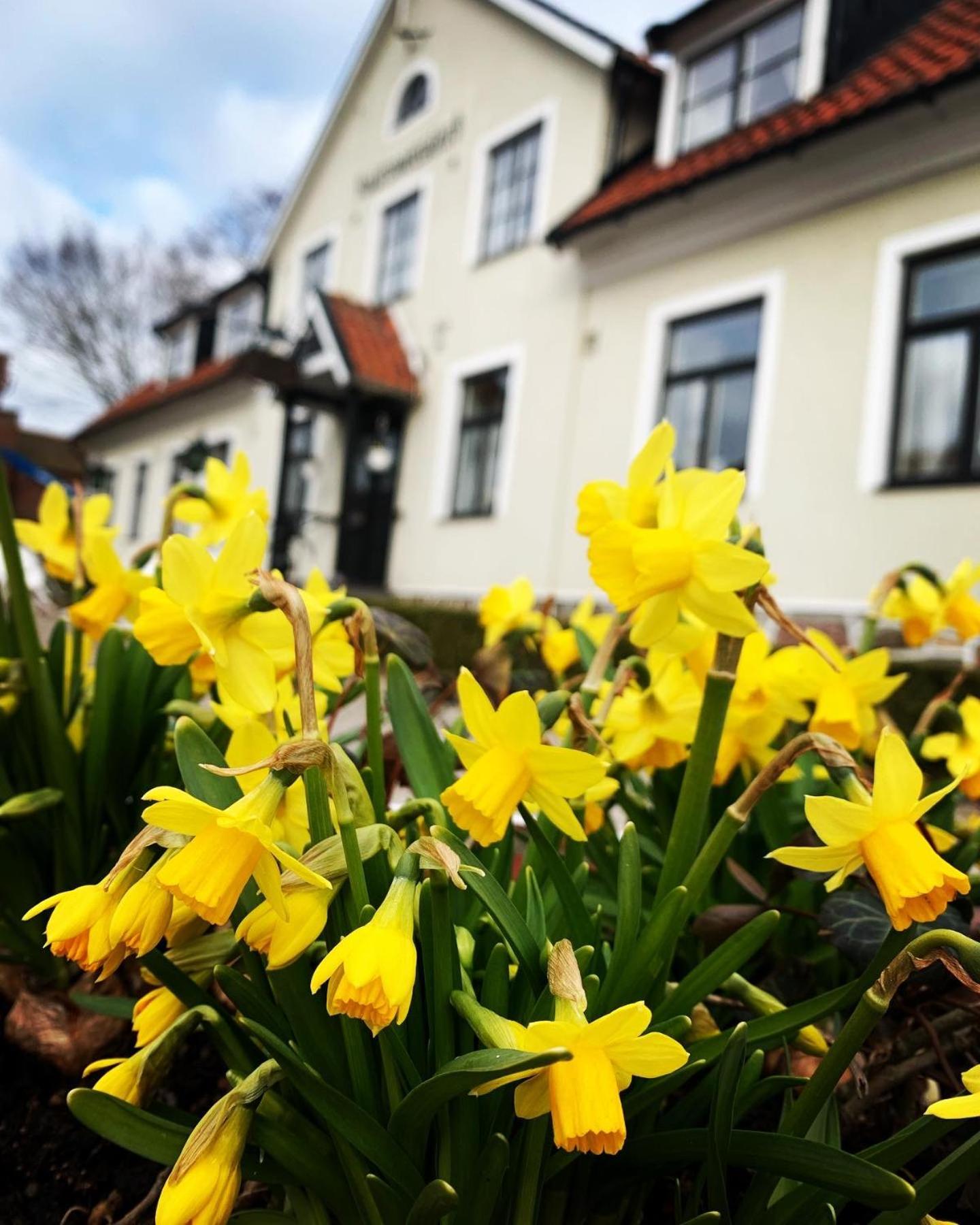 Hammenhögs gästgivaregård Exteriör bild